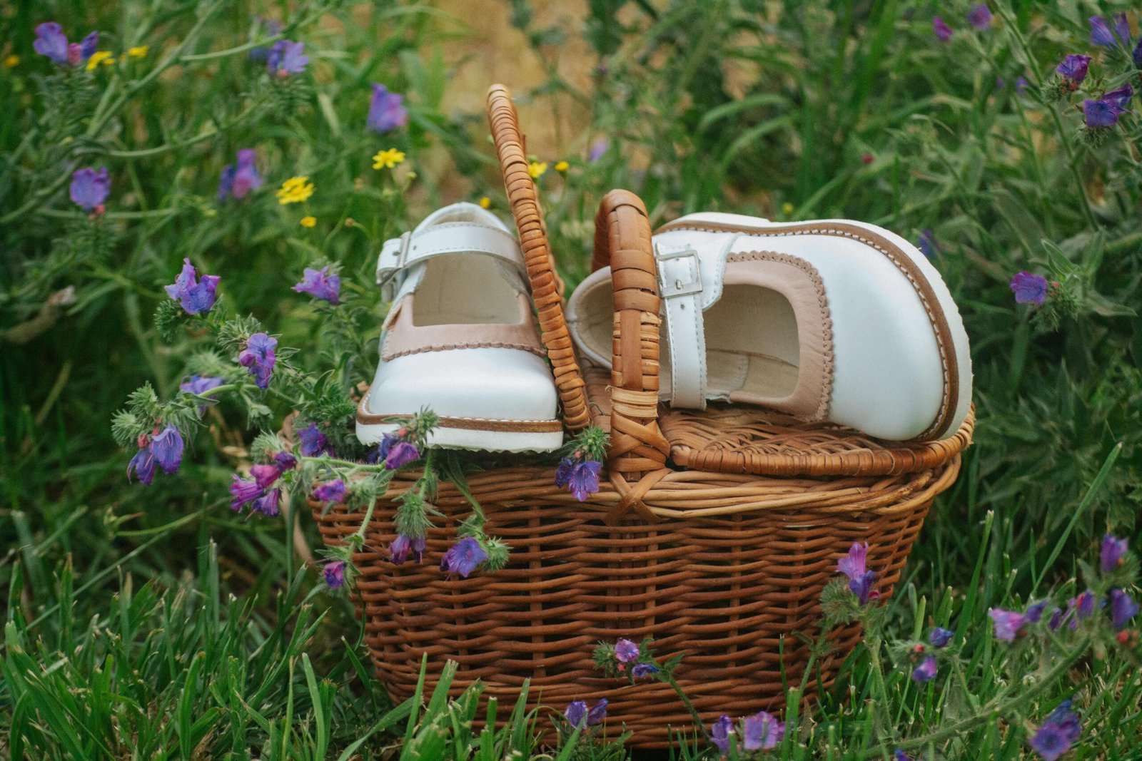 Guillermina René Almendra